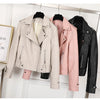 Spring Autumn Ladies Motorcycle Leather