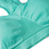 Quick Drying Seamless Sport Bra